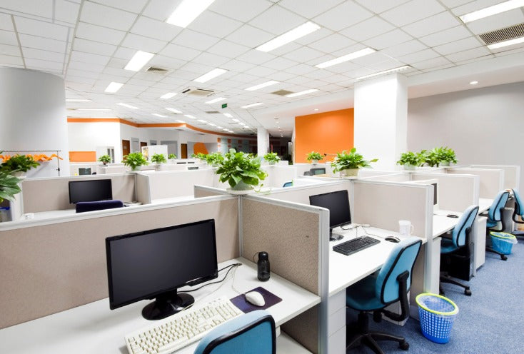 The Truth About Cubicles: Pre-Owned vs. New – Which Is Better?