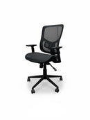 Staples - Egronomic Office Chair