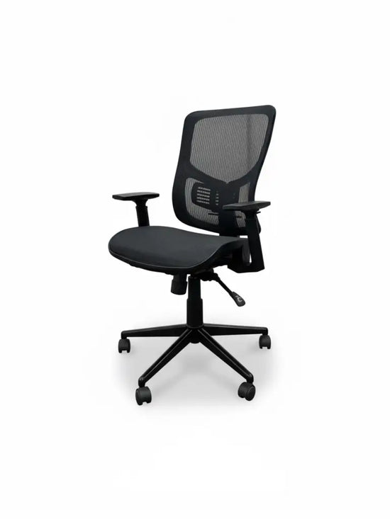 Staples - Egronomic Office Chair