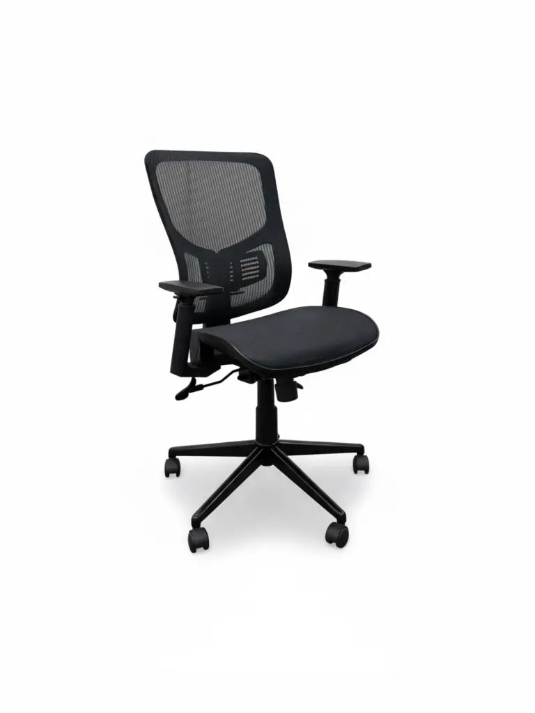 Staples - Egronomic Office Chair