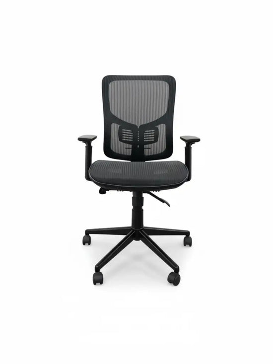 Staples - Egronomic Office Chair