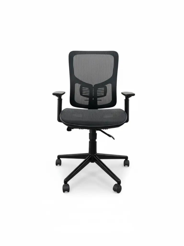 Staples - Egronomic Office Chair