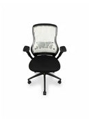 KNOLL - REGEN 01